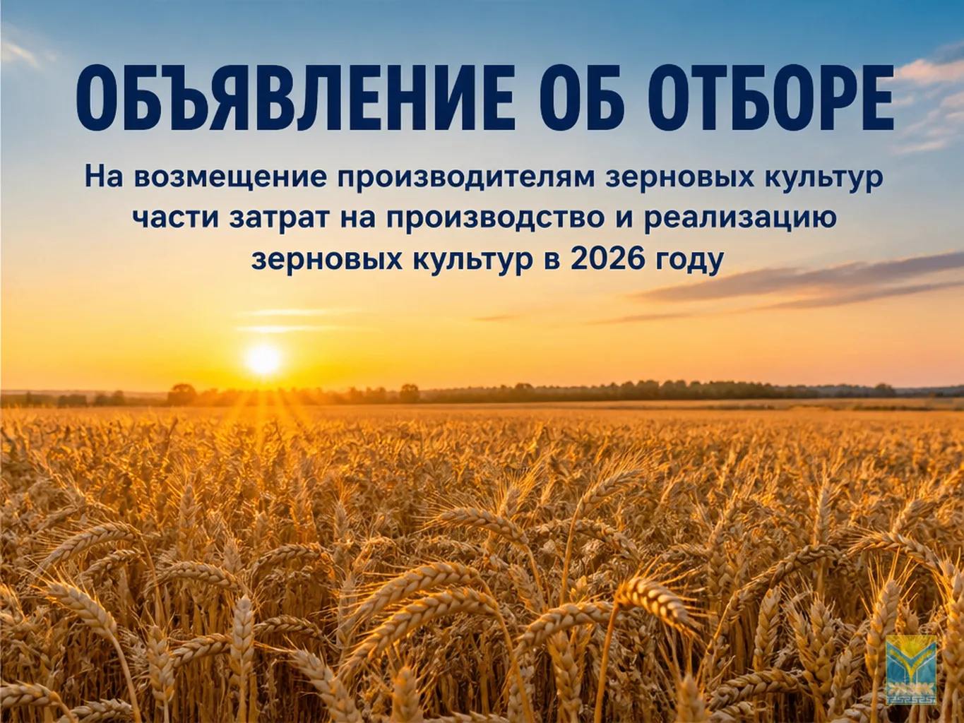 ОБЪЯВЛЕНИЕ ОБ ОТБОРЕ