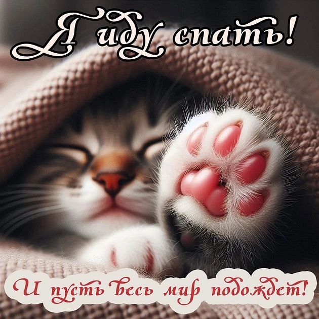 Рай открыток | Открытки 🥰