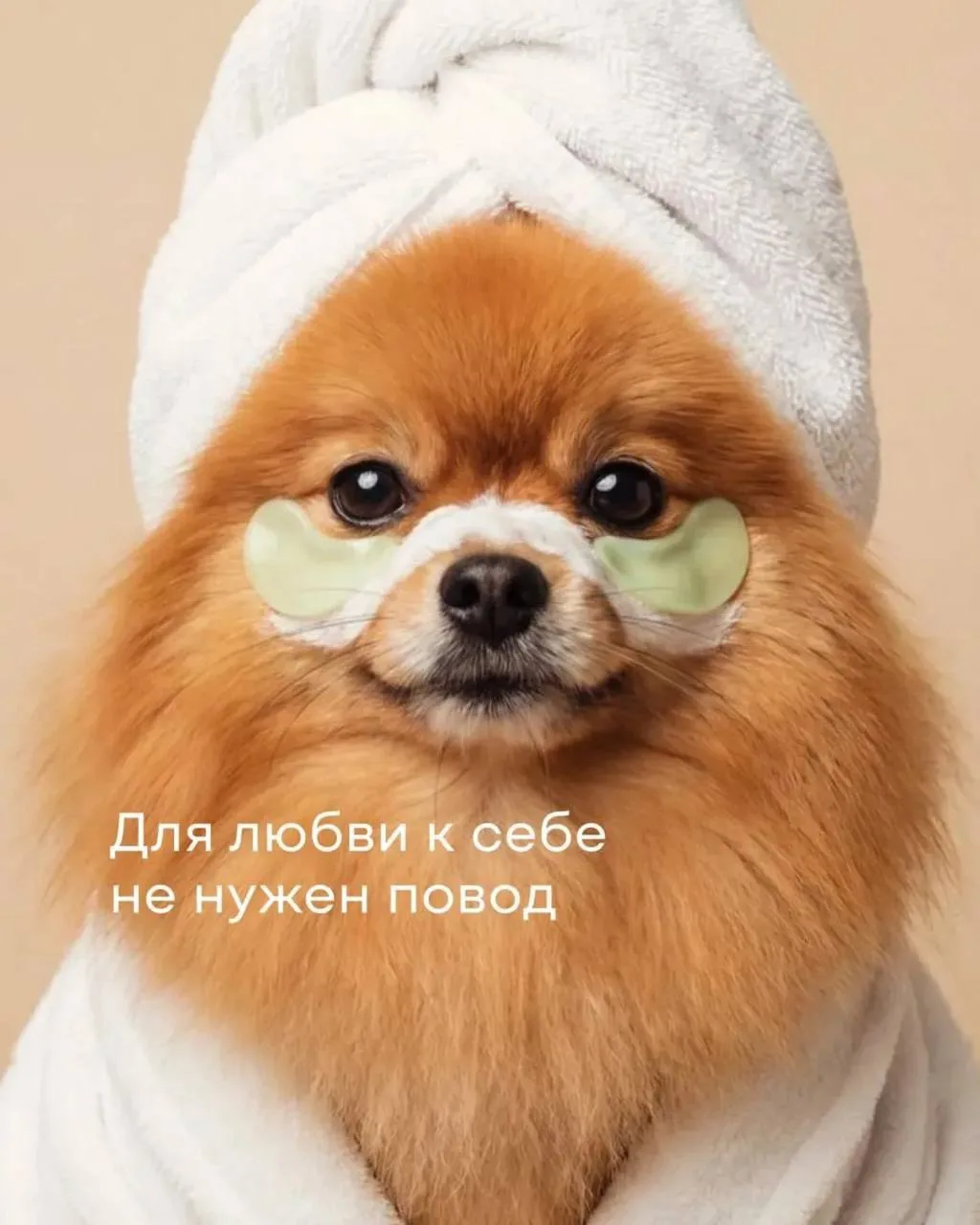 Аффирмация дня🤍

Все о стиле и жизни в max 
Все о стиле и жизни в tg