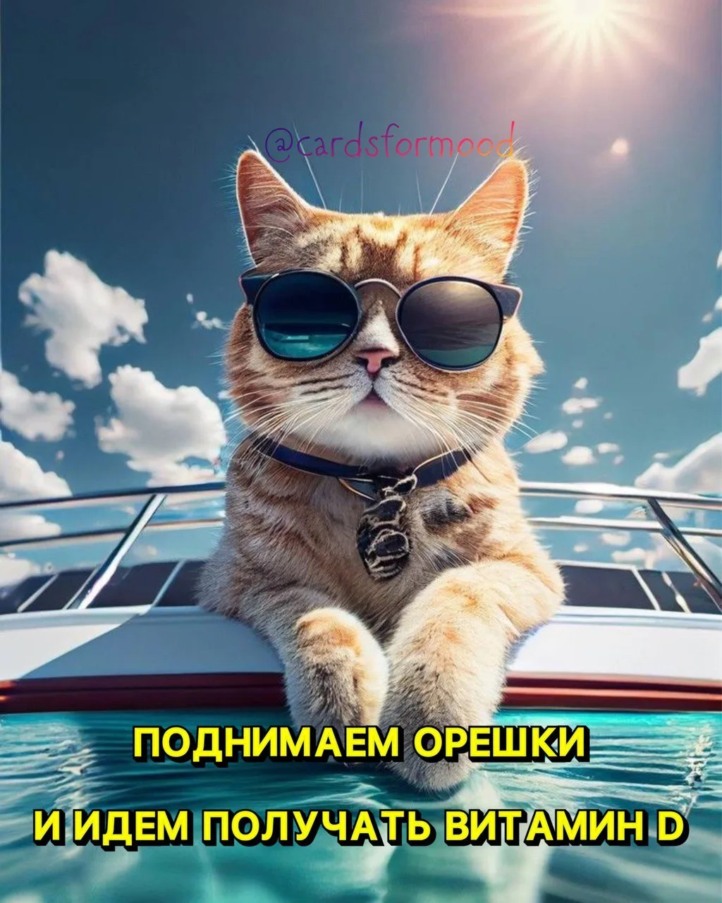 ОТКРЫТКИ