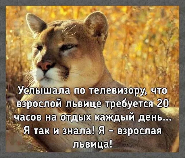 Девчата - Подписаться