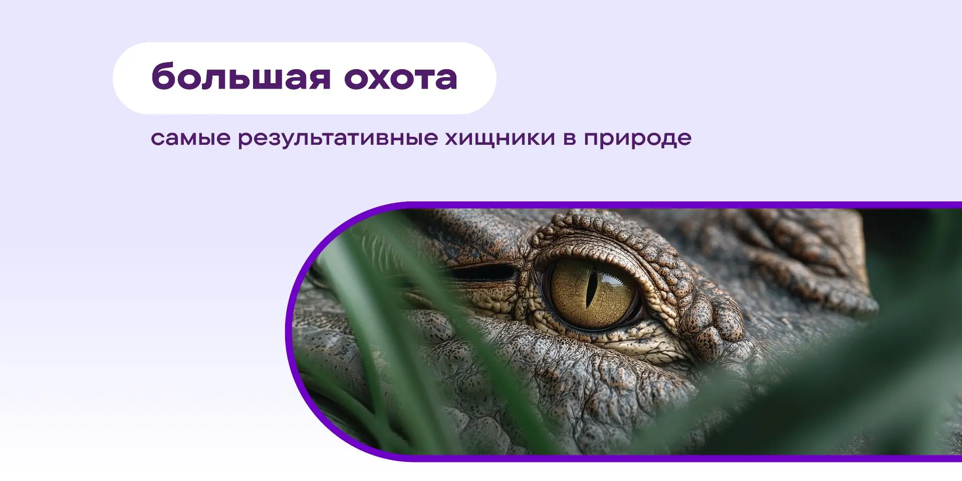 Мощные челюсти, острые когти, 🦁 устрашающий рык — все это впечатляет, но не гарантируе...
