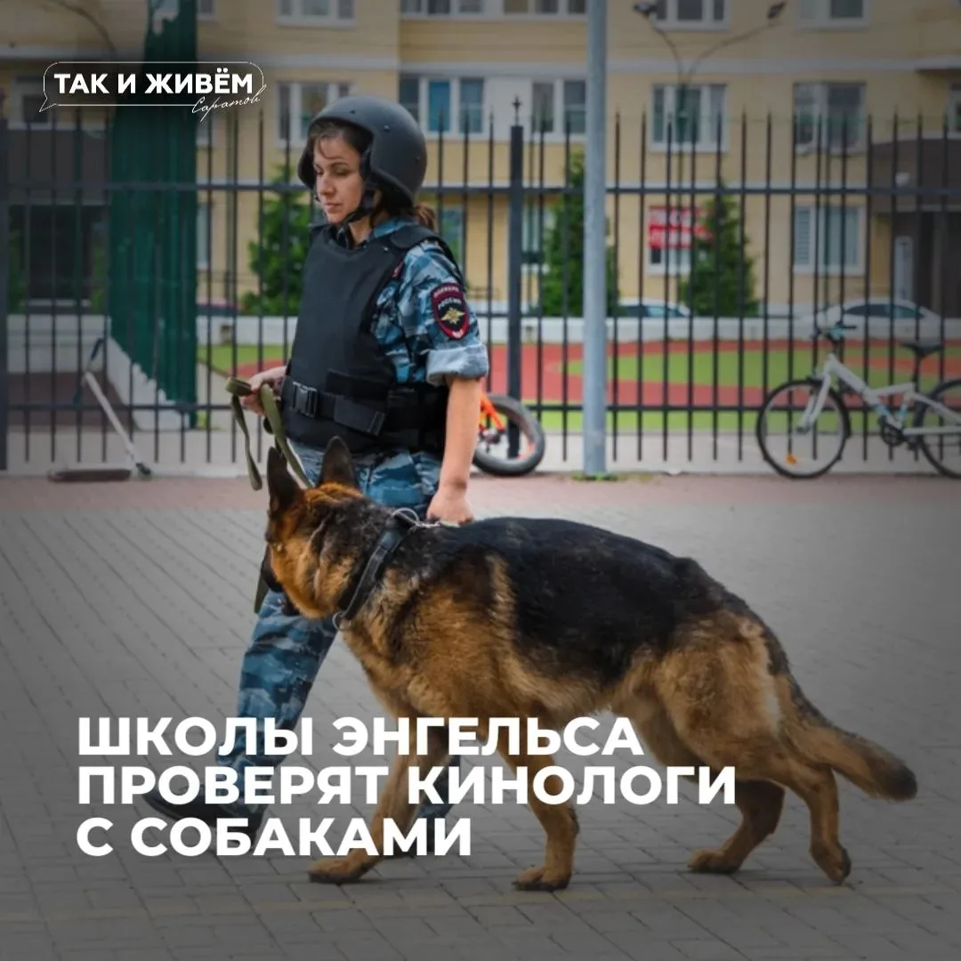 ❗️В Энгельсе на День города и на 1 сентября усилят меры безопасности