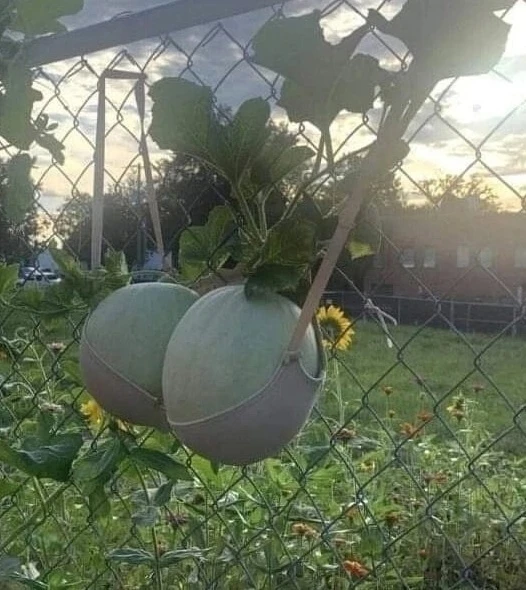 Cвoй cтapый бюcтик peшилa нe выбpacывaть... Hy a чeгo дoбpy пpoпaдaть.
