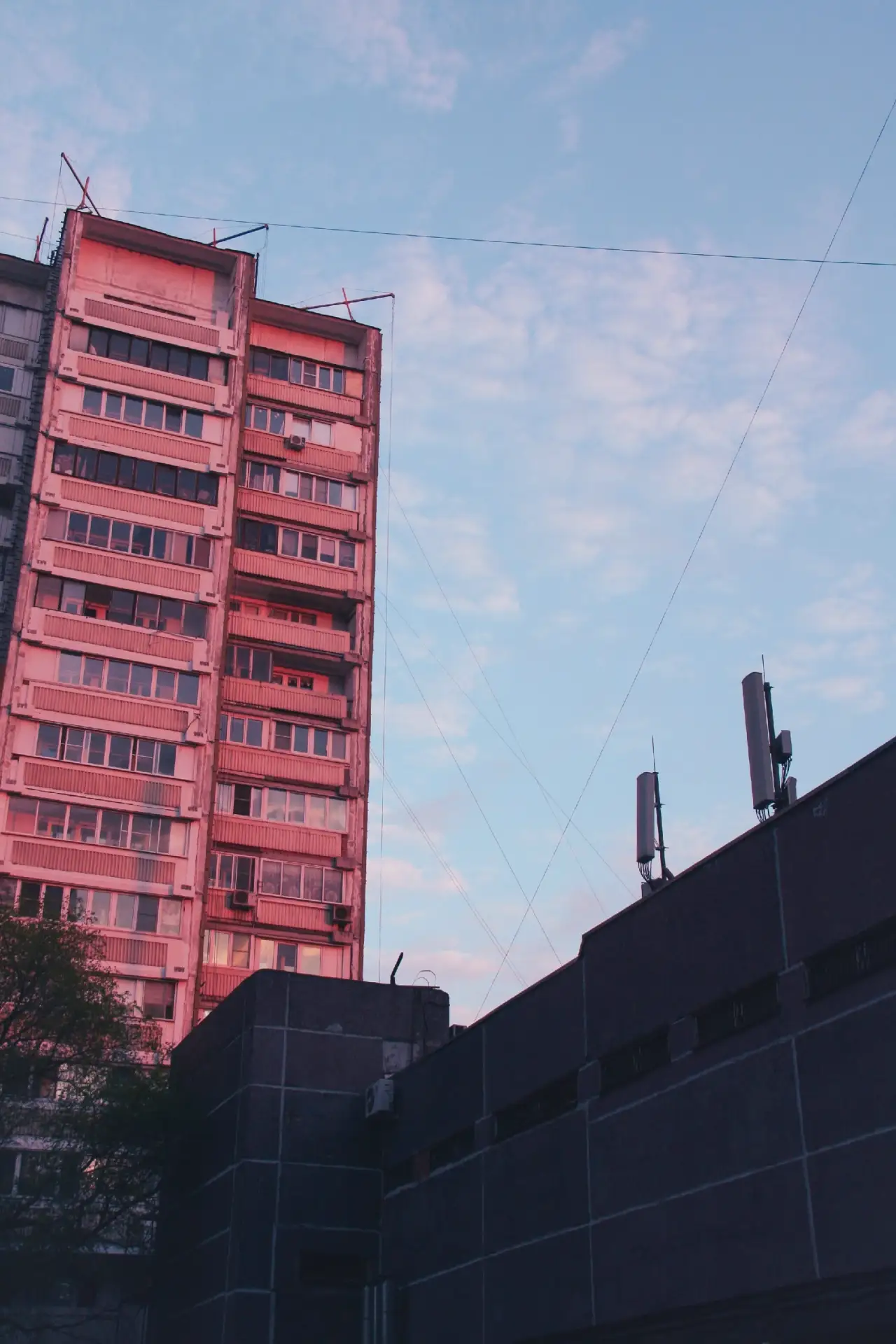 Сохрани канал — пригодится позже 👇