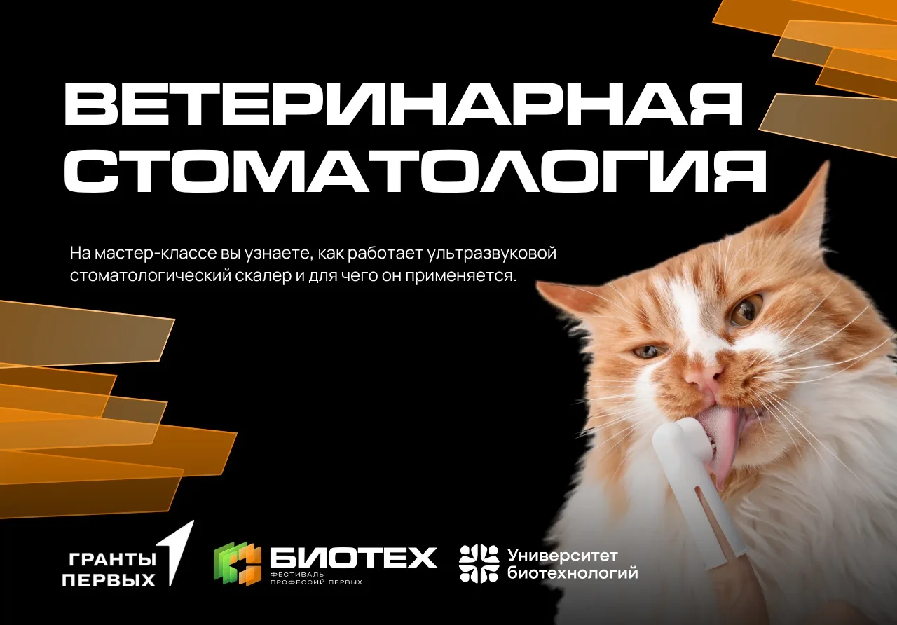 👀 Продолжаем рассказывать об активностях, которые вас ждут на Фестивале профессий Перв...