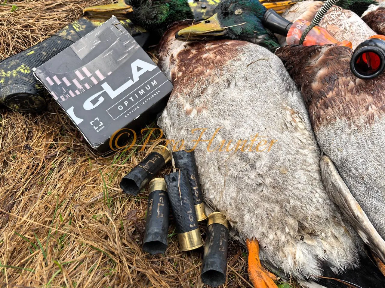 Трофеи весенней охоты. 
Патрон #igla
Ружье Benelli Comfort 12/76
Есть небольшое кино про эту охоту: 