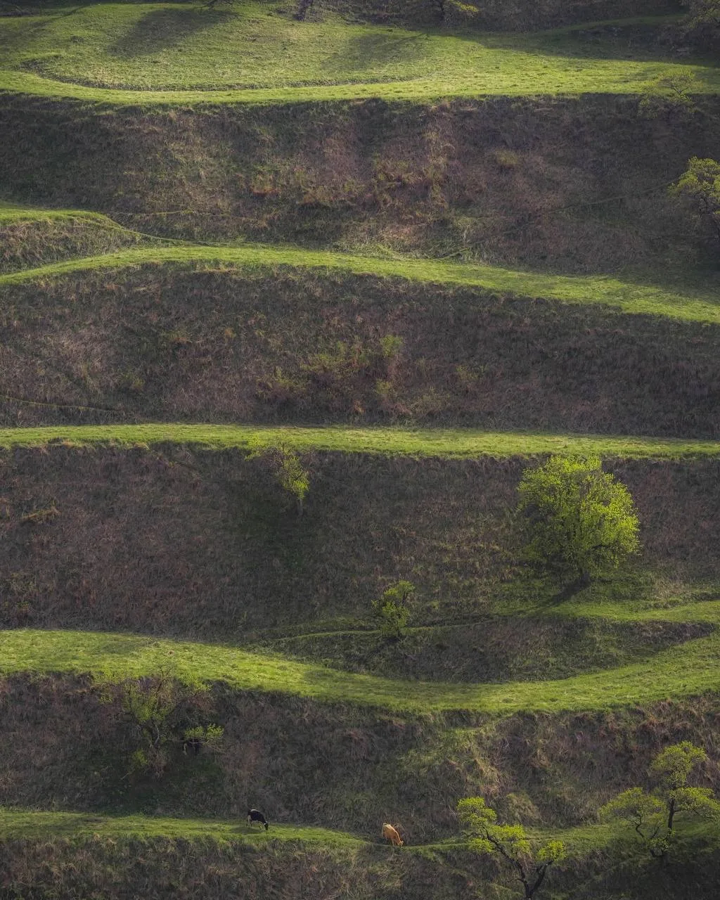 Замечательные снимки Чохских террас, Дагестан  📸 roman.kokorin  🗺️ 42.318209,47.014918  👉 Экскурсия 