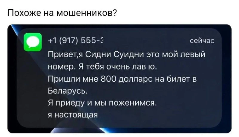 Не верим своим глазам. Она написала.