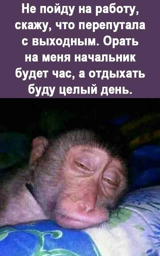 Ежик