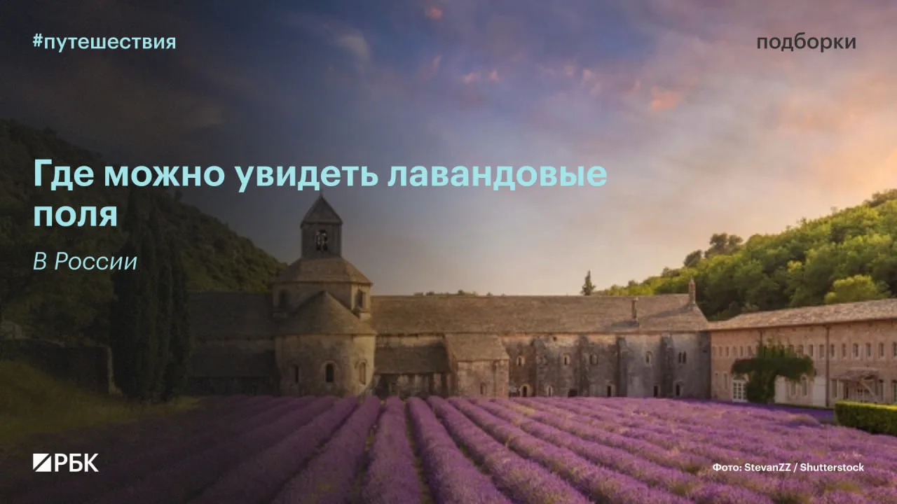 #вам_точно_сюда