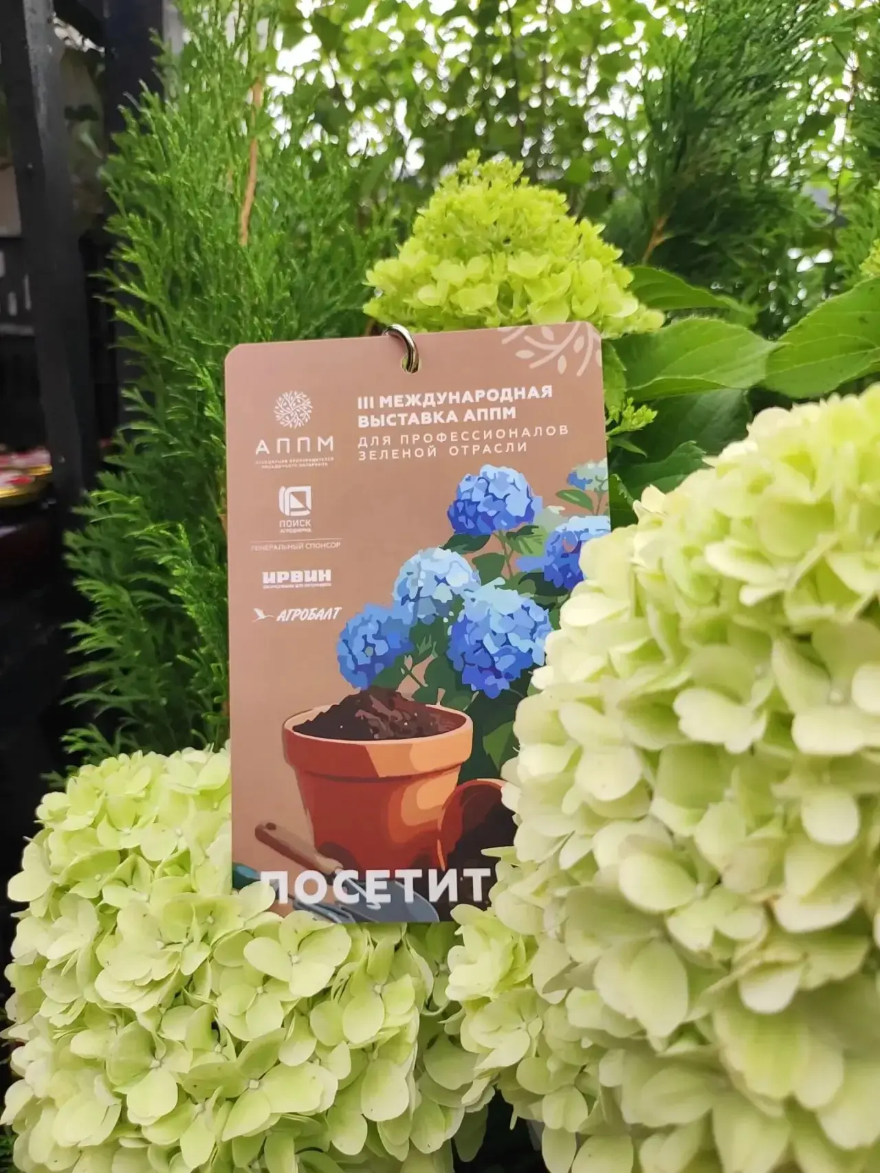 🌿 Наша команда — на III Международной выставке АППМ!