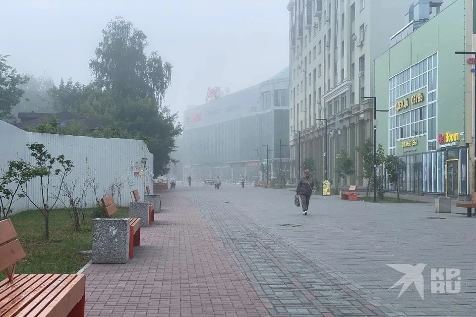 🏙️ В Рязани решают судьбу трёх улиц  Администрация города запустила опрос о переименовании Малого шо
