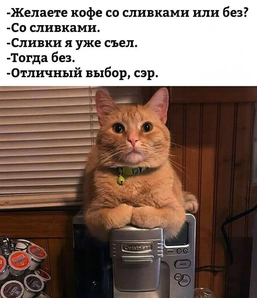 Бодрых и позитивных