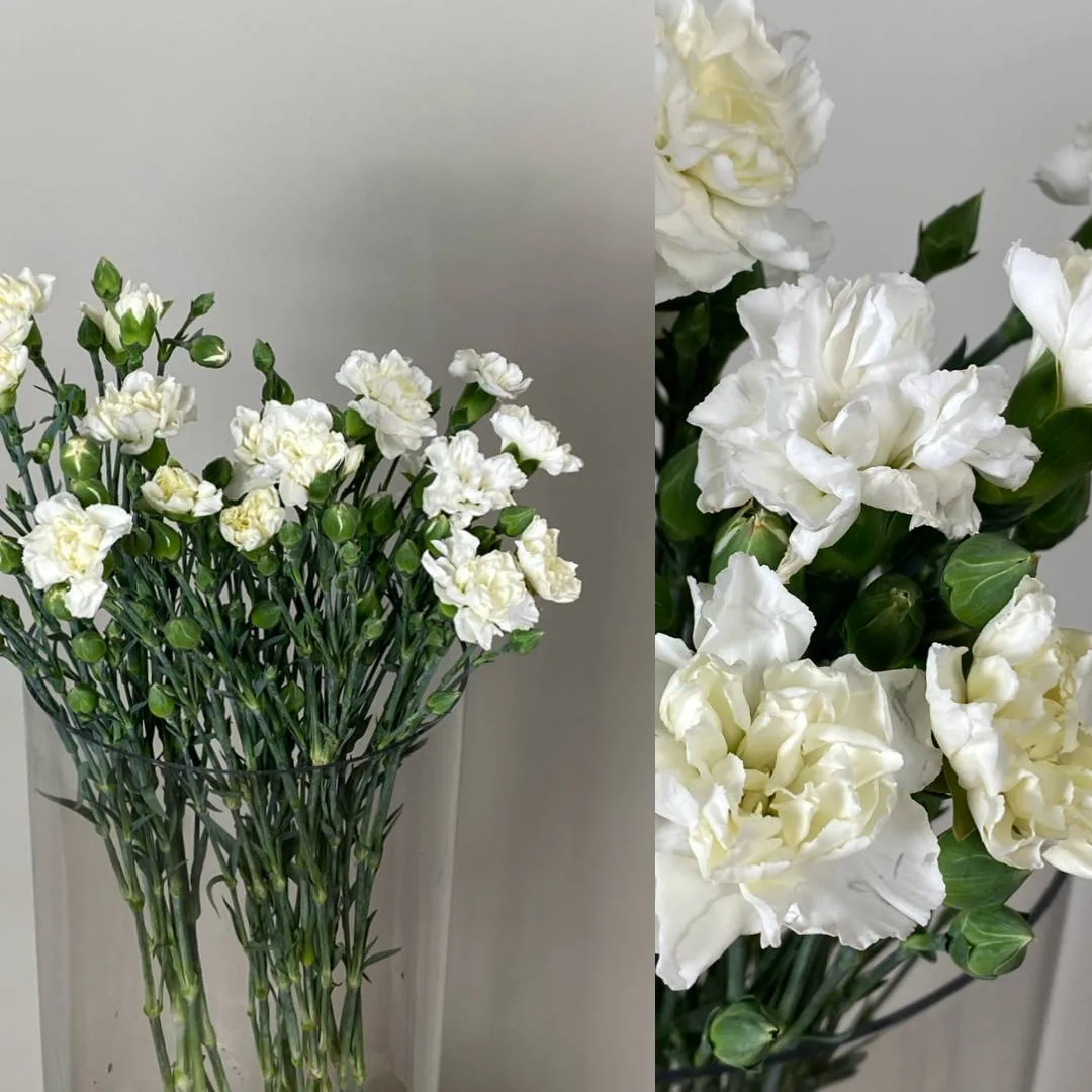 Новое поступление цветов 🌸