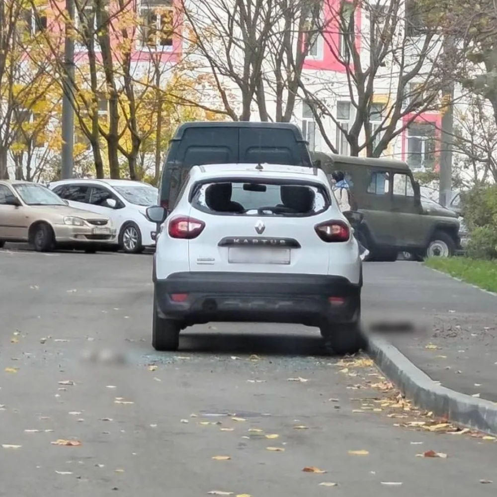 В Москве   мужчина выбросил четырех кошек с 20-го этажа