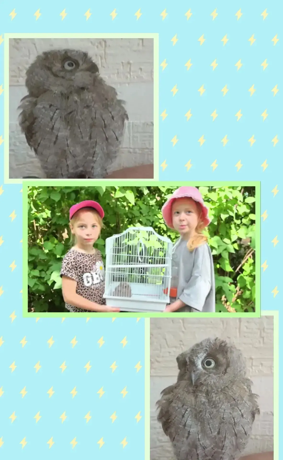 🦉Маленькие гости!
💥Утро в нашем саду прошло не по плану. Вместо утренней зарядки - спасательная оп