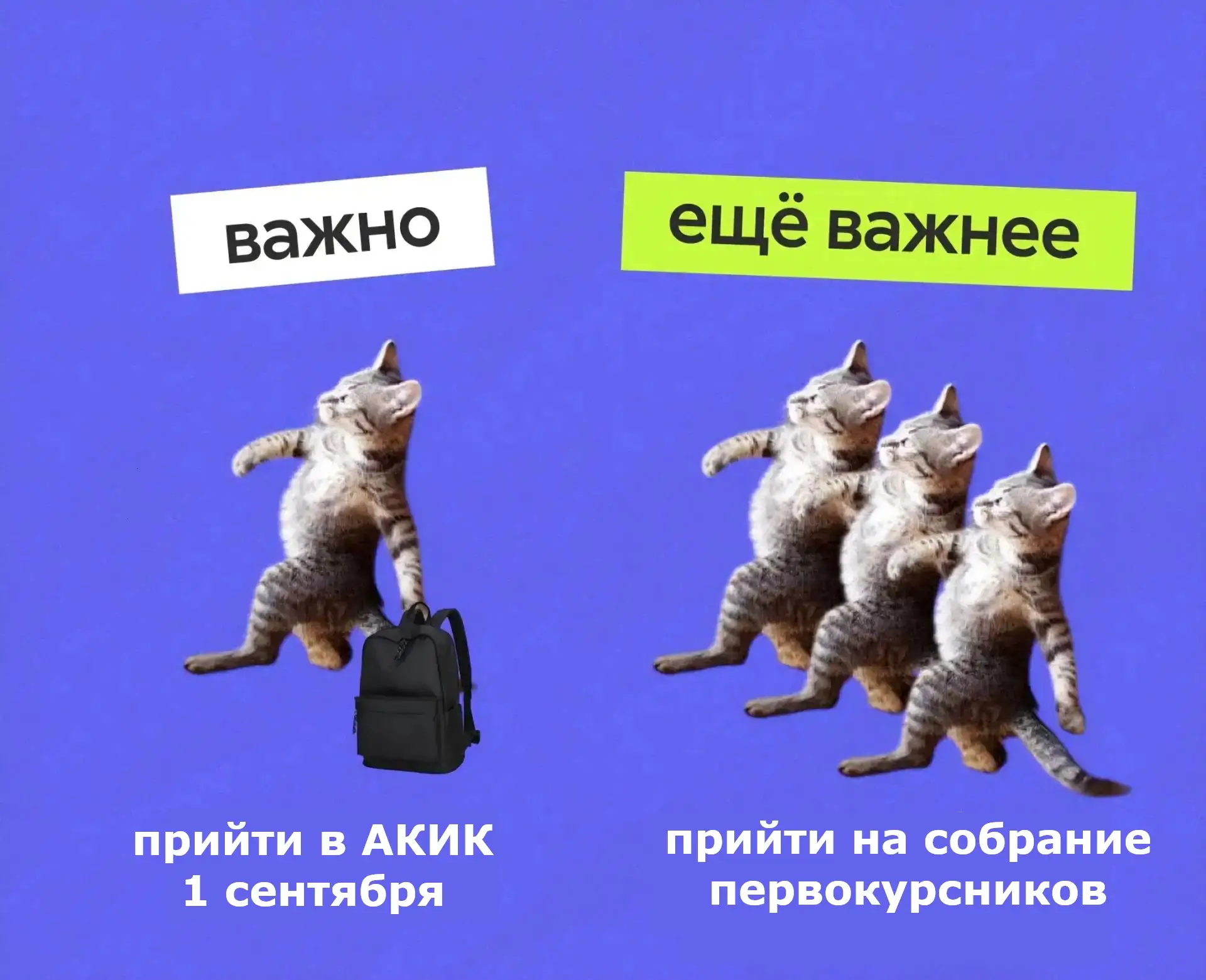 Первокурсники, встречаемся уже 28 августа!