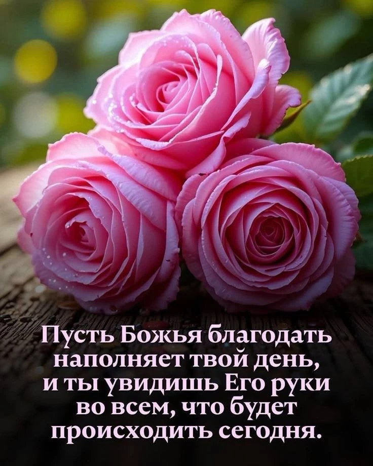 Мои открытки ❤️