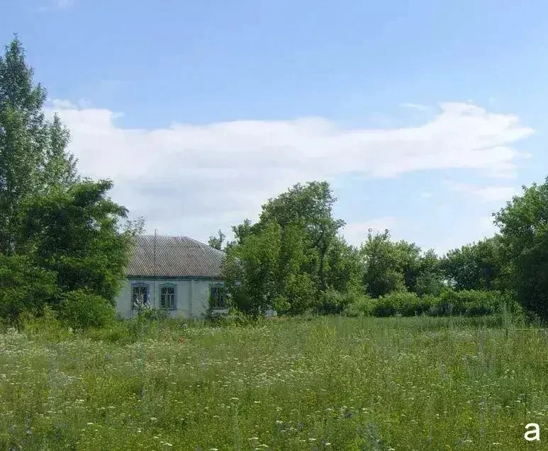 Она мне родней всех будет, хоть и чужая