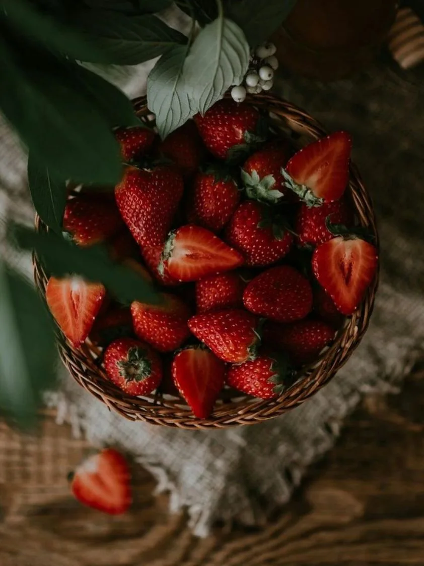 🍃❤️🍃❤️🍃❤️🍃❤️🍃❤️🍃