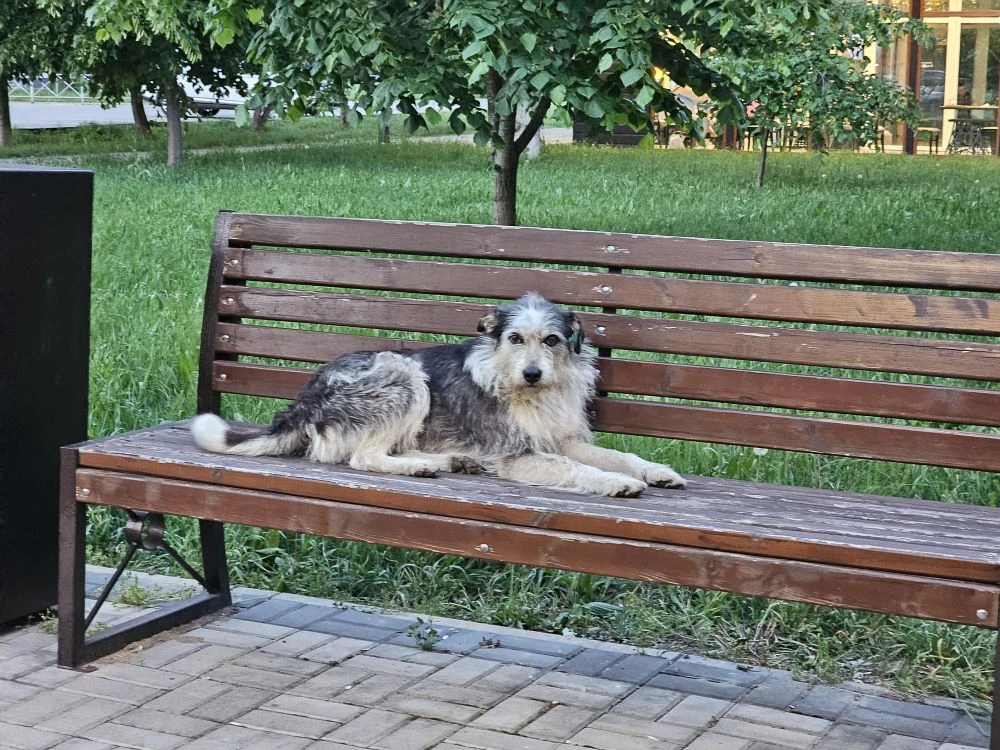 Сегодня в Калининском районе — тёплый, но пасмурный и дождливый день  Днём около +19°, утром +18°, в