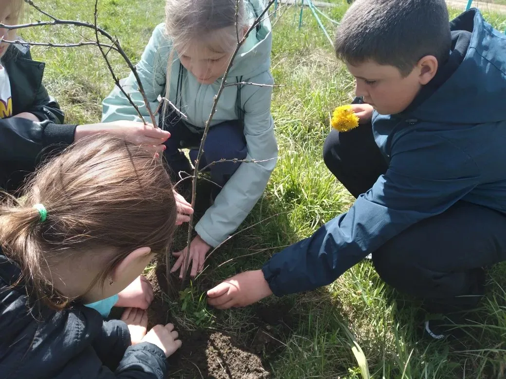 🌳Акция «Сад памяти 2026»! 🌳