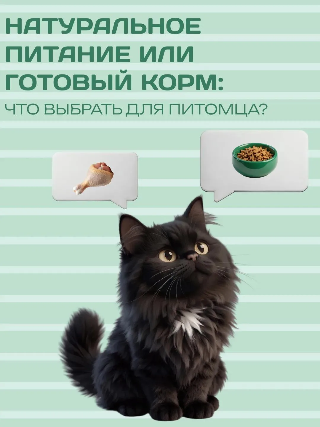 Натуральное питание или готовый корм — что лучше для питомца?