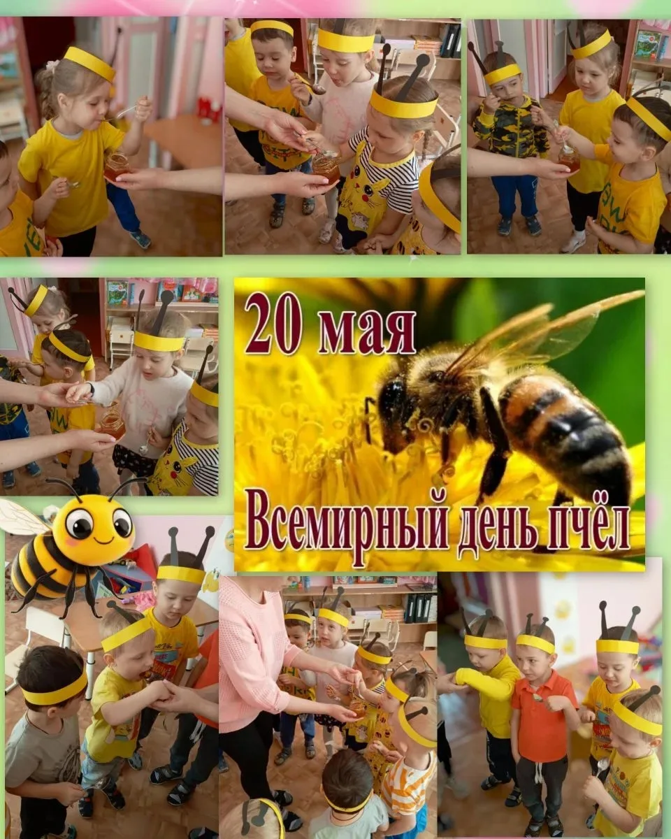 🐝20 мая «Всемирный день пчёл». В нашем детском саду прошел тематический день,  посвящё...