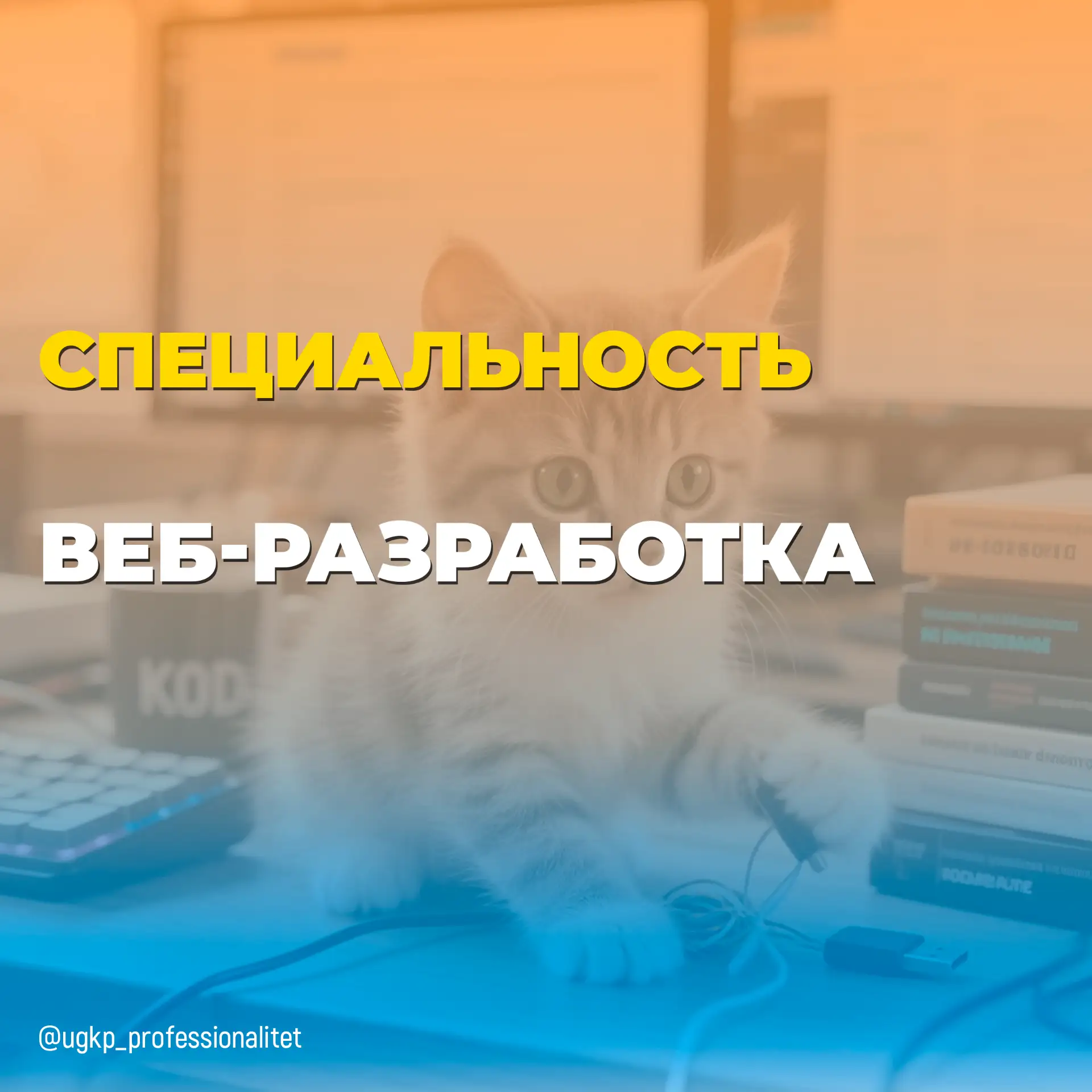 Создавай сайты и сервисы, которые видят миллионы.

Специальность 09.02.09 "Веб-разработка" — это про