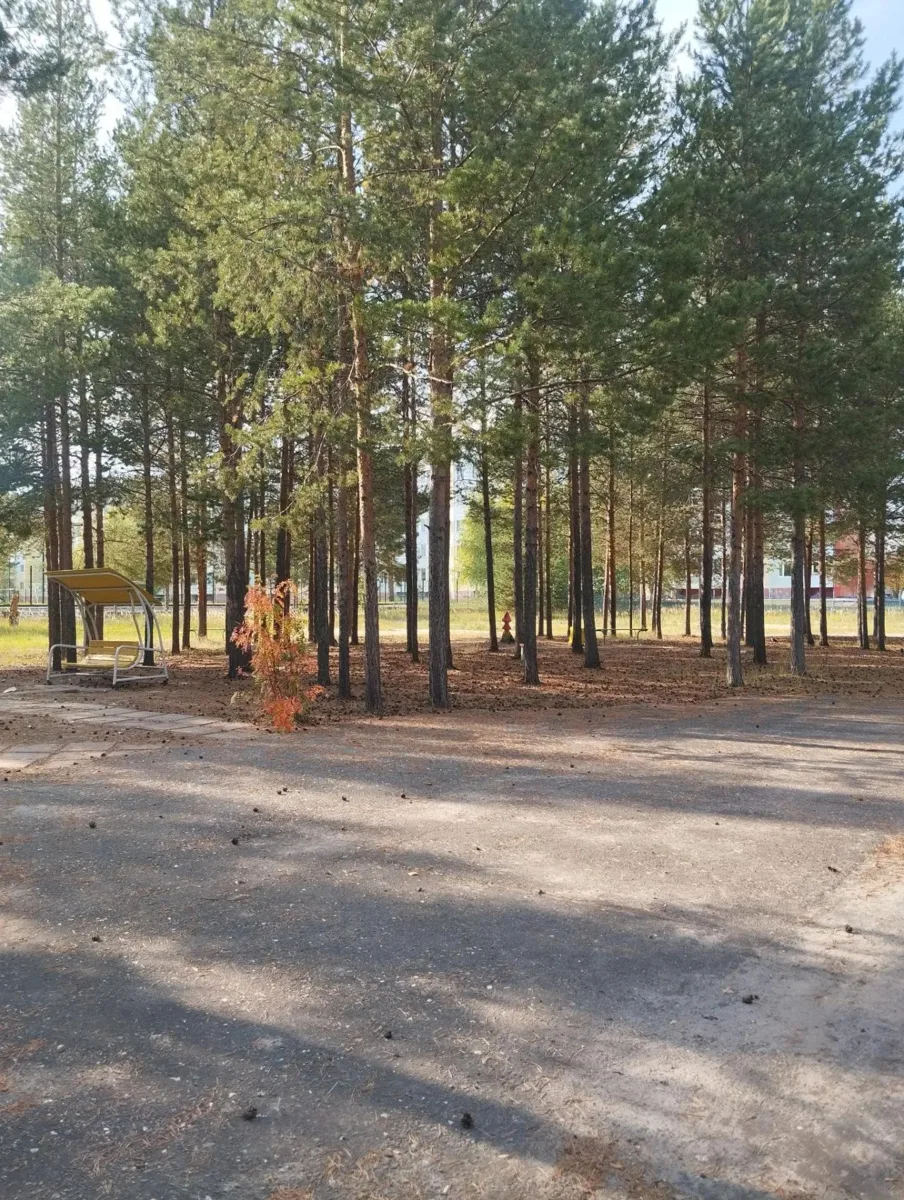 🌳 В Покачах появится парк «Высота»