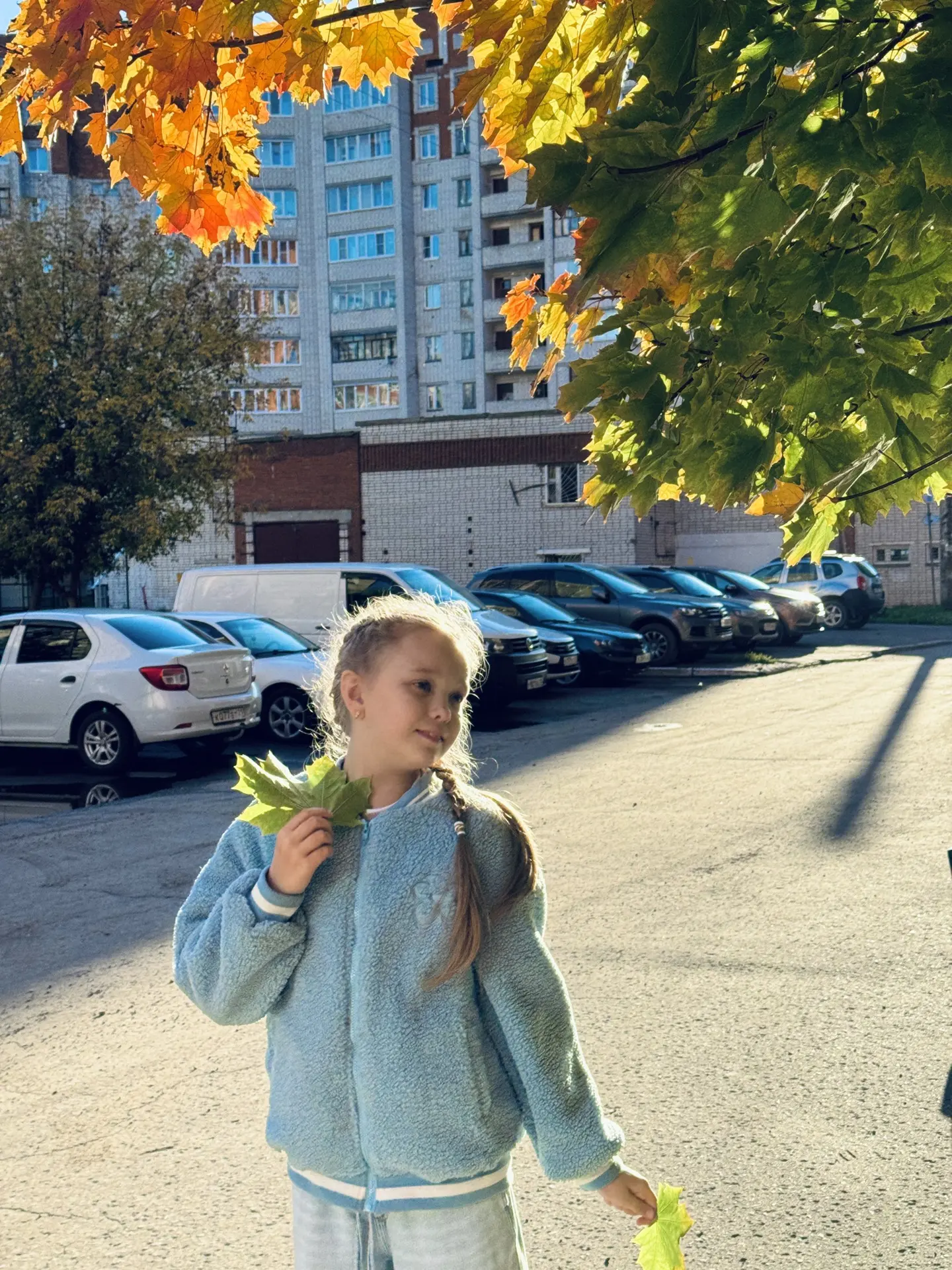 🍁🍂