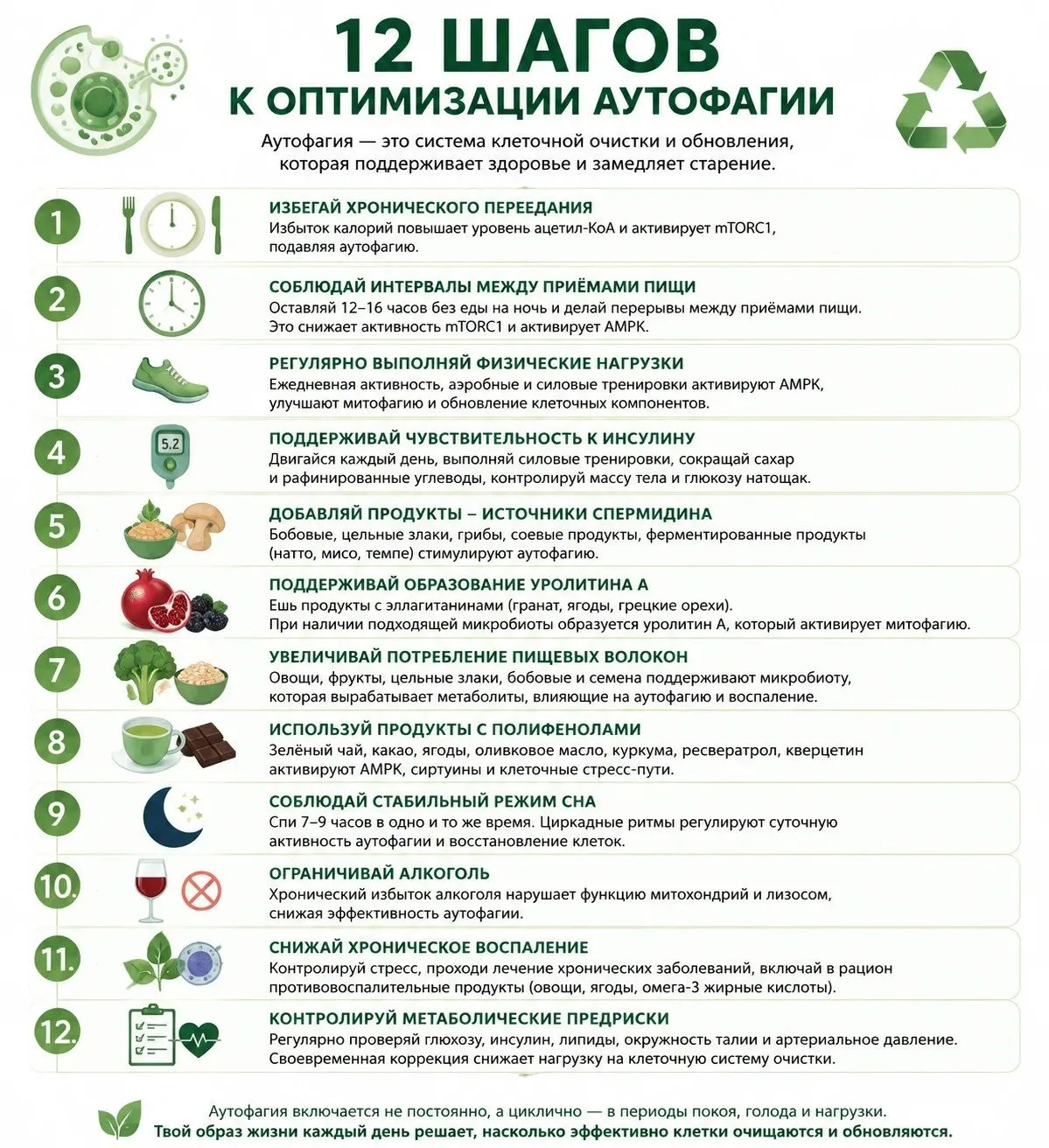 ✅ Удобно сохранить, легко поделиться с близкими: 12 шагов к оптимизации аутофагии