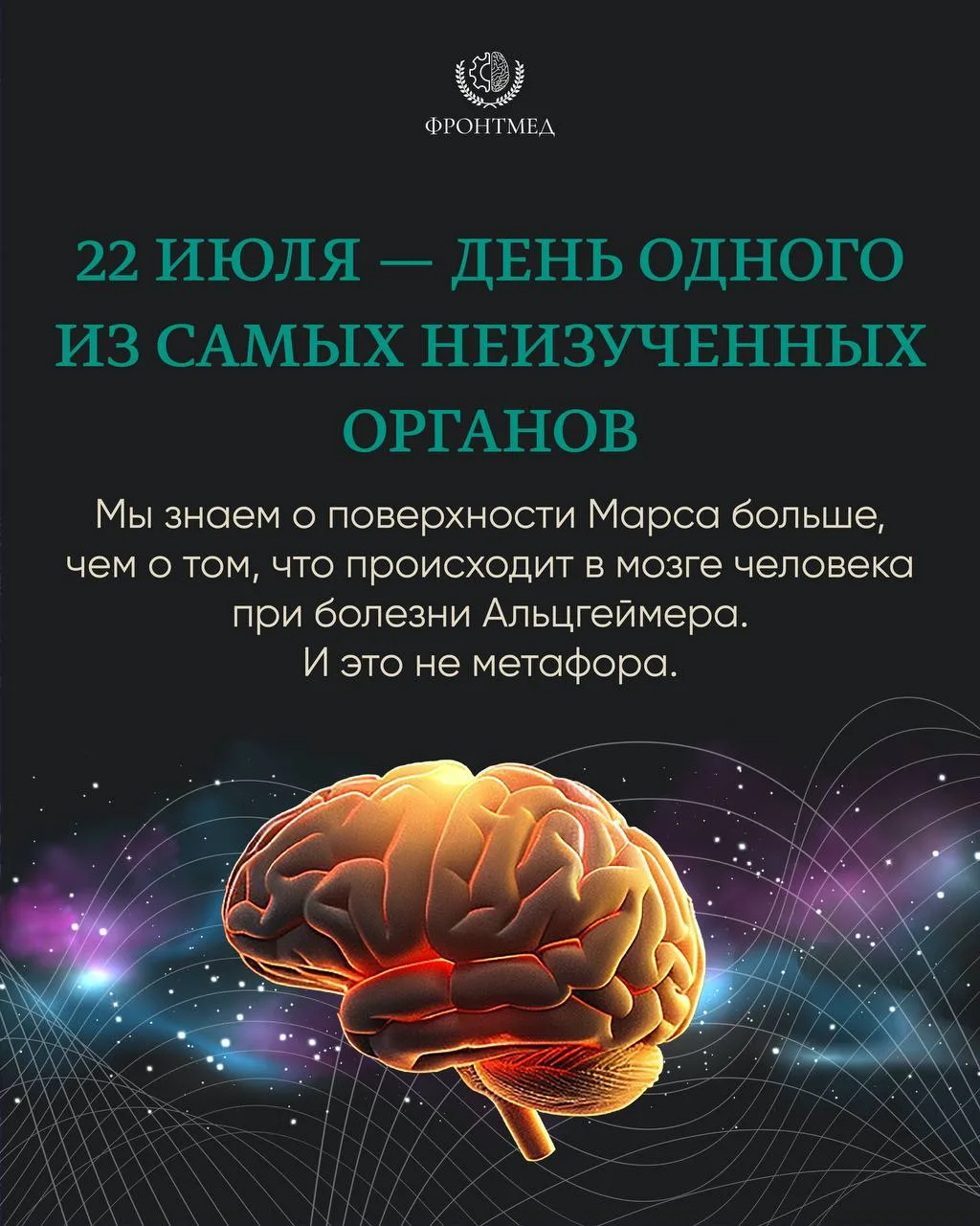 22 июля — Всемирный день мозга. Мы решили не проходить мимо, и сегодня делимся подборкой фактов, кот