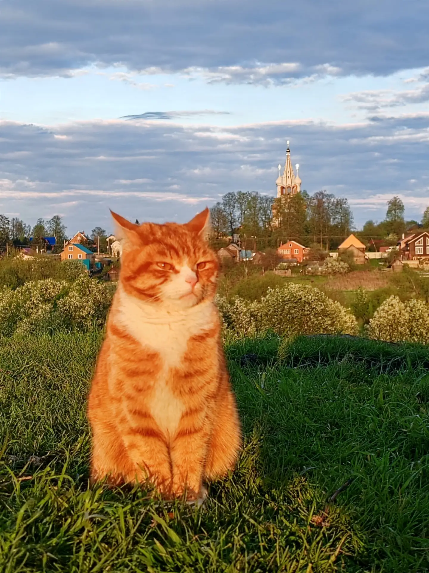 #Дунилово  📷 Елена Кистровских