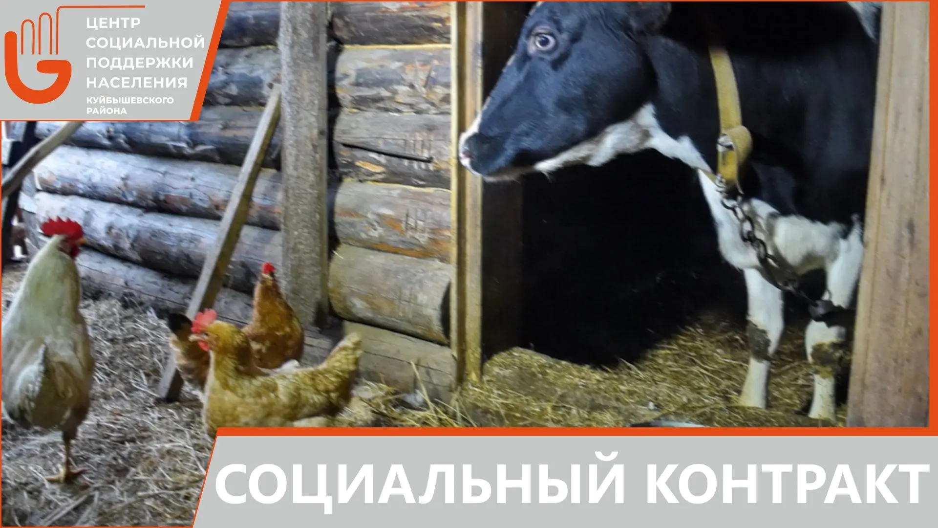 Социальный контракт помогает семьям вести личное подсобное хозяйство.