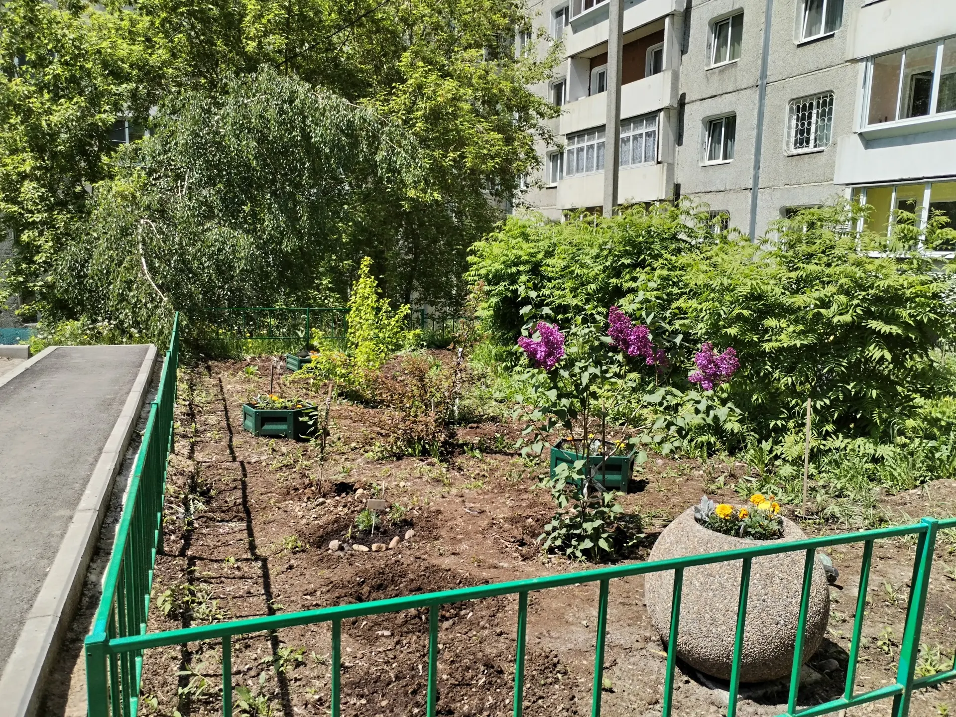 «Зачем вы устроили это кладбище?»

Такую фразу мы услышали от жительницы микрорайона Университетский