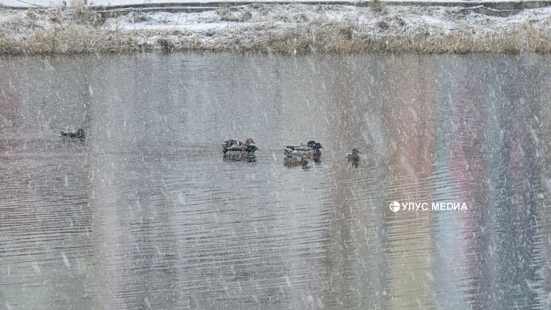 Сегодня Якутск накрыл сильный снегопад 🌨