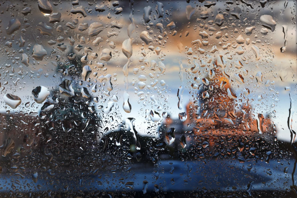 ⛈️ В выходные зона сильных дождей накроет несколько субъектов на Северо-Западе России