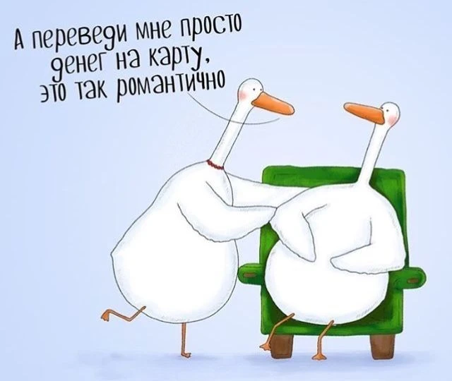 Подпишись, чтобы не потерять👇