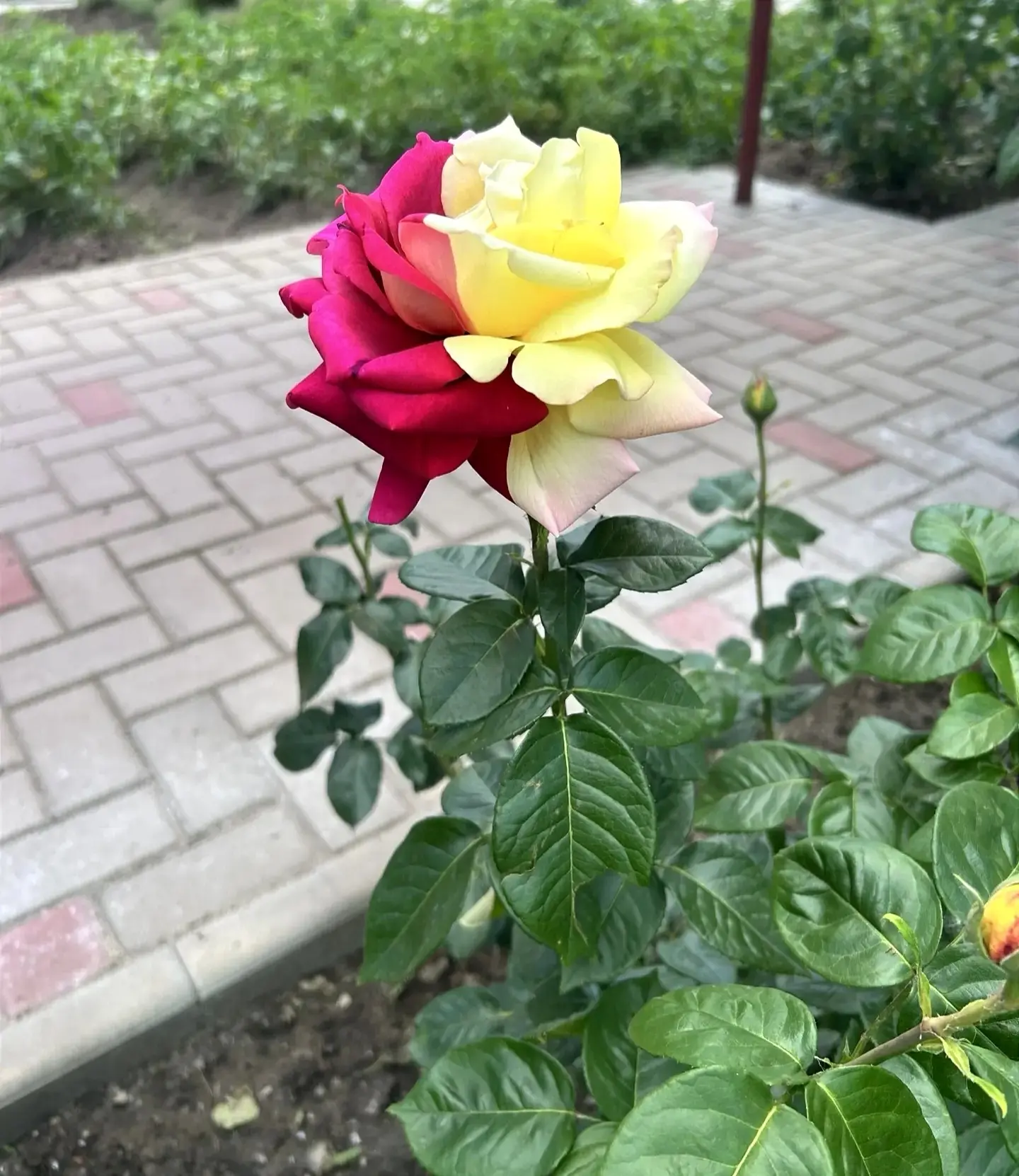 ☀️ Доброе утро!

📸 Продолжаем нашу рубрику «Время года в кадре». 

❣️ За фото спасибо Светлане Иван