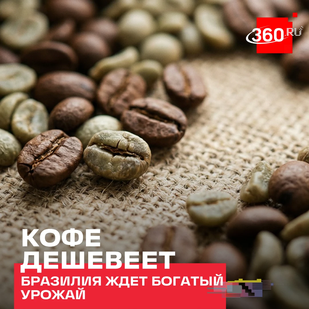 Кофеманы, ликуйте! Мировые цены на кофе падают: за год арабика подешевела примерно на 2...