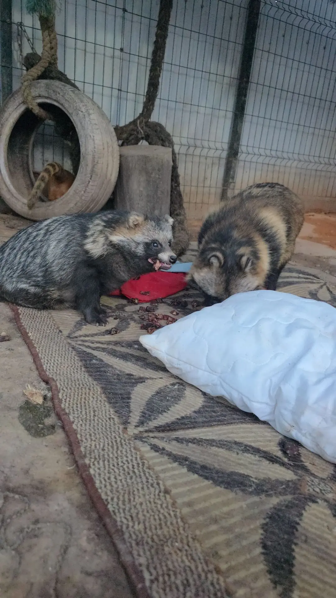 Доброго дня🥰
