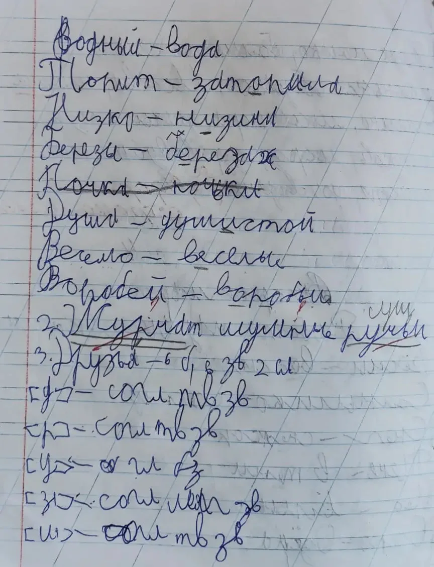 Кейс №3. «Она просто ленится» — или писать действительно трудно?

В первом кейсе на первый план вышл