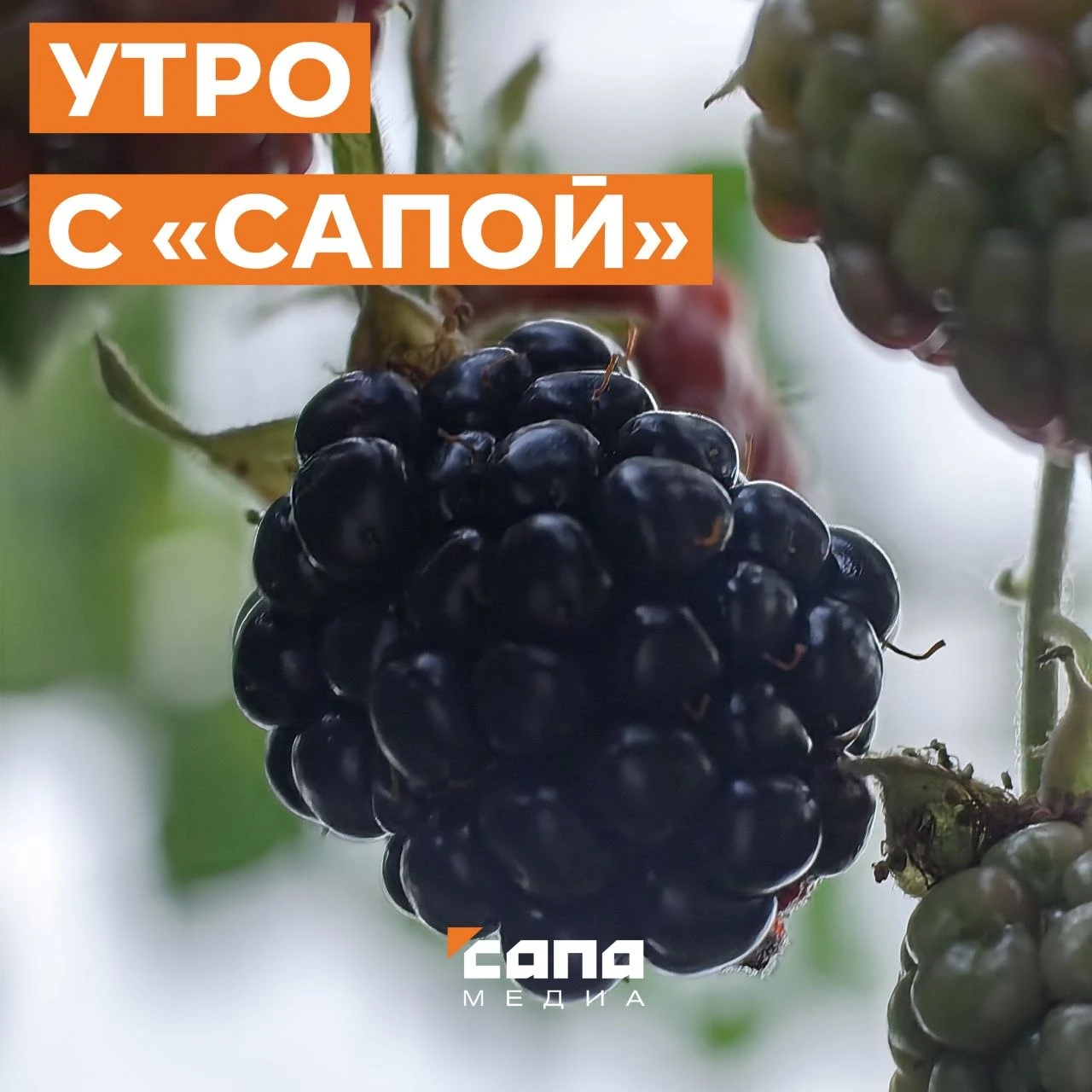Информация, которая может тебе пригодиться: