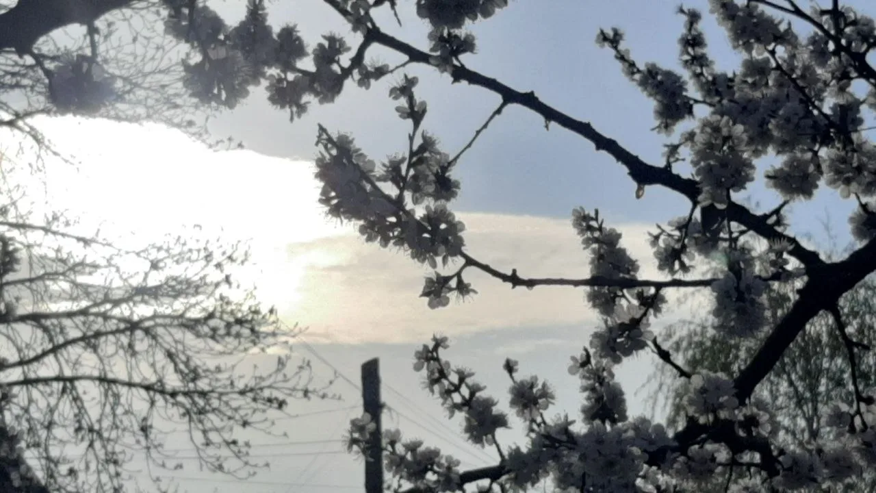 🌞 Утро в Луганске сегодня — тёплое и спокойное.