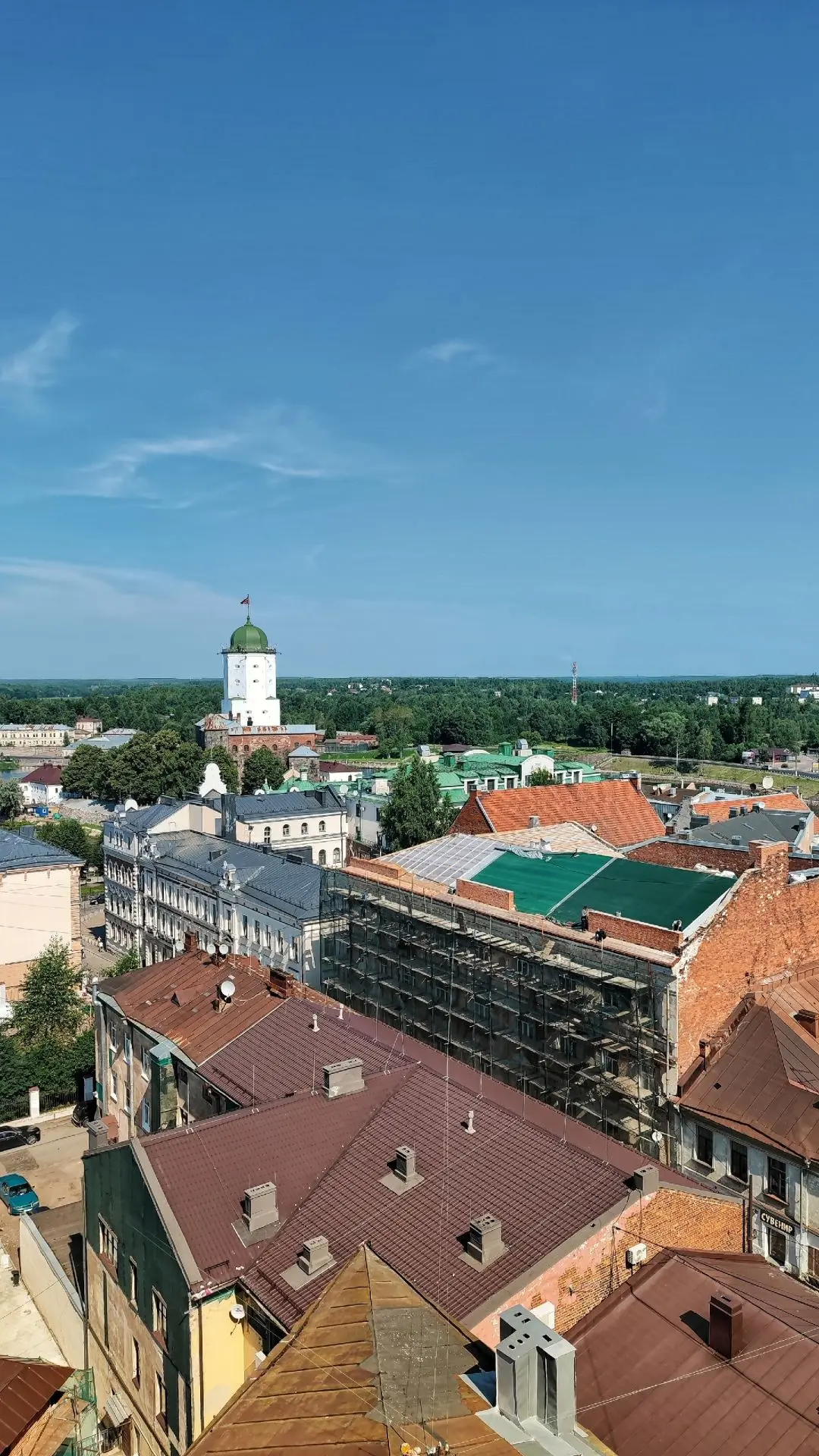 Фото: Юлия Доронина