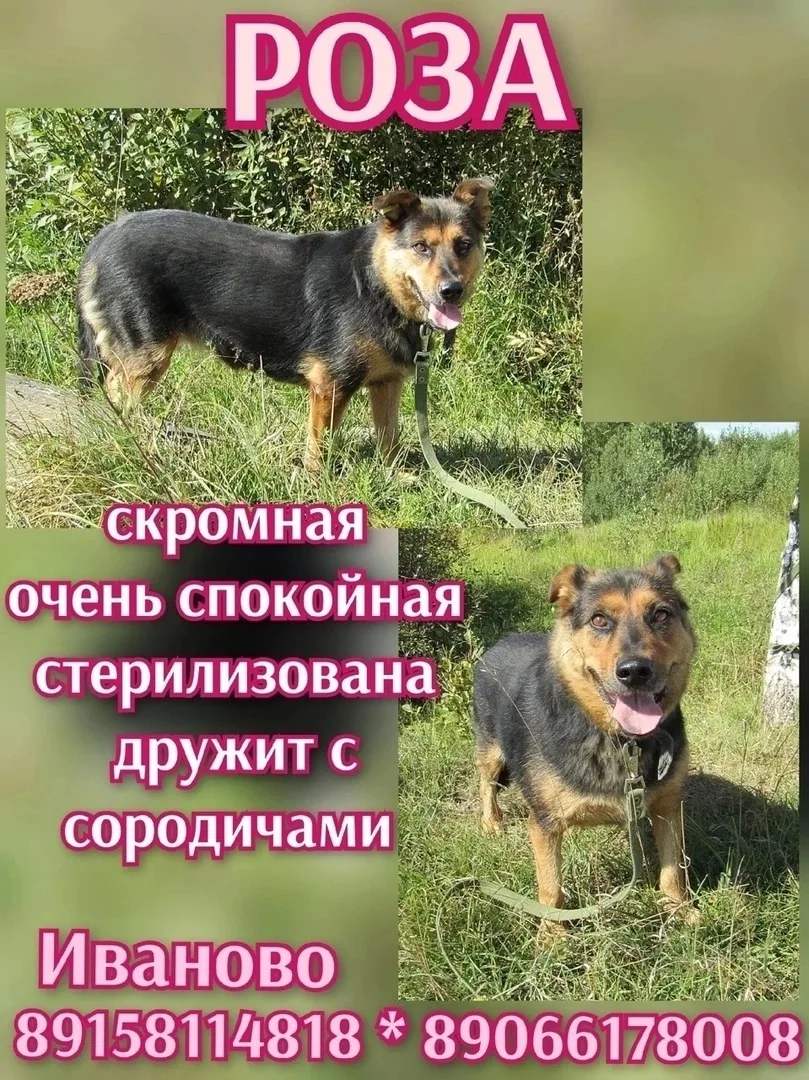 #ИВАНОВО