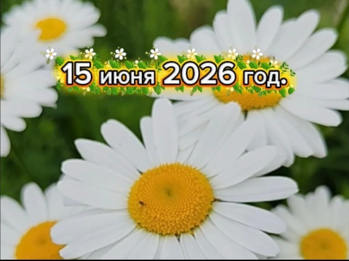 1️⃣5️⃣.0️⃣6️⃣.2️⃣0️⃣2️⃣6️⃣
🔔Сегодня общий день под управлением энергии цифры 4️⃣

Мир будет находит