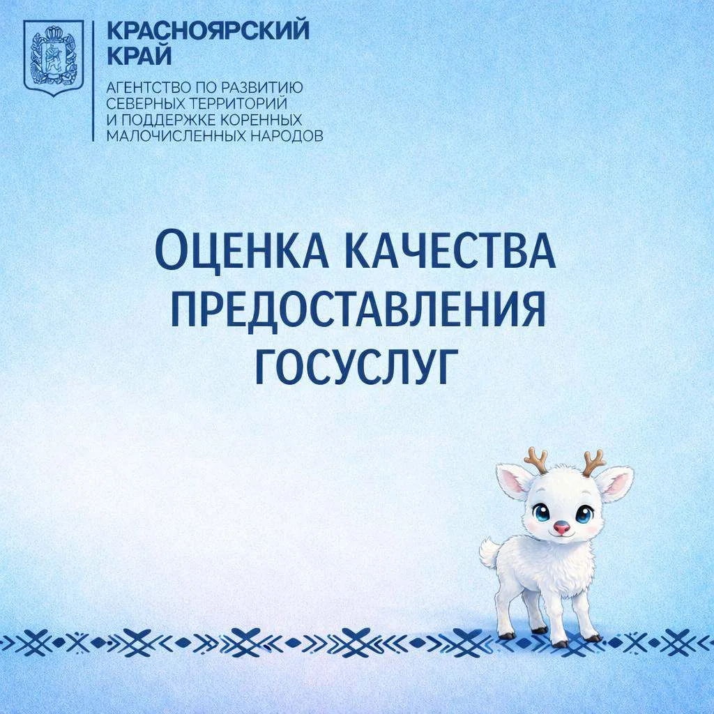 Оценка качества предоставления государственных услуг агентством по развитию северных территорий и по